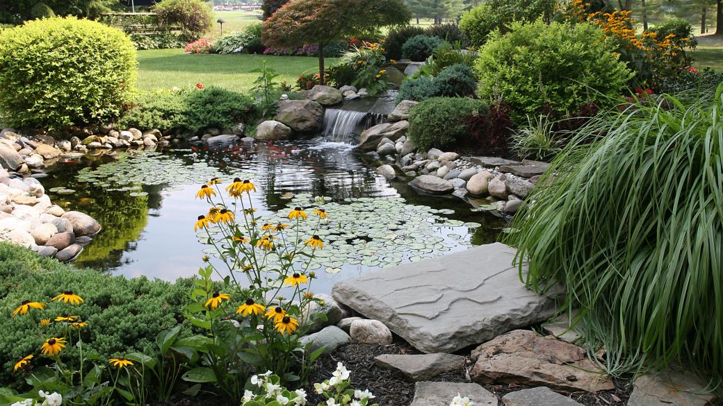 An assortment of plants and bushes around a pond in an ornamental garden