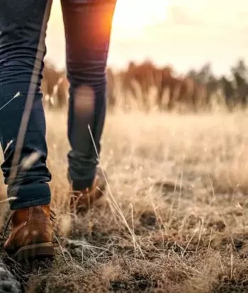 Legs and shoes of a man as he hikes through a meadow at sunset