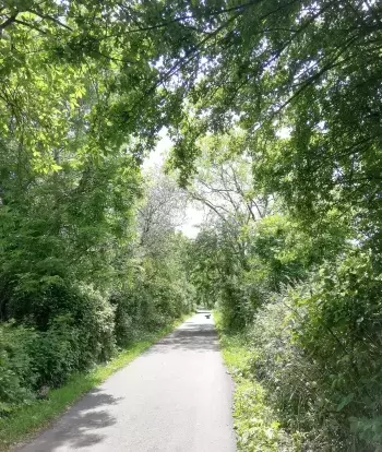 Part of the Tarka Trail country path with hedges and trees to either side
