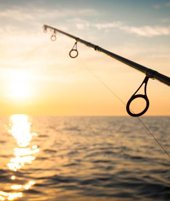 Fishing rod with sea and sunset in the background