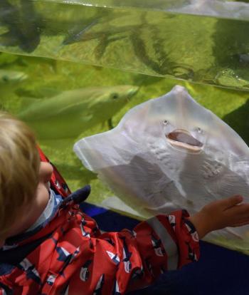 Ilfracombe Aquarium