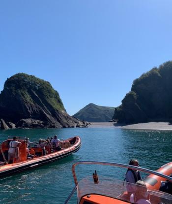 Ilfracombe Boat Trips